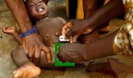 处女器官 在线观看,在线观看探索人体奥秘之旅