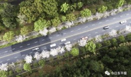 乡间童谣在线观看,回忆里的童年旋律